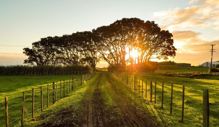 Beautiful-countryside-landscape-at-sunset