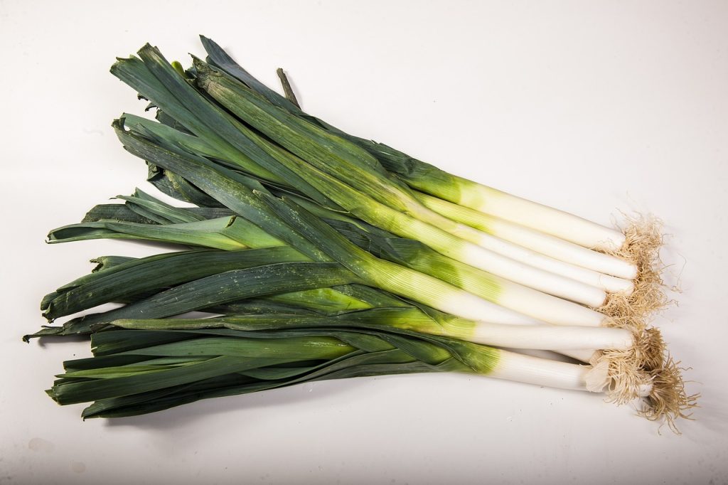 Leeks-on-white-background