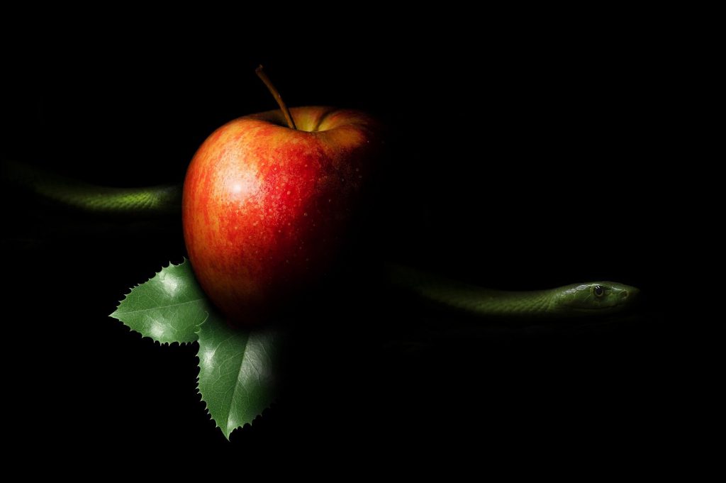 Red-apple-on-black-background