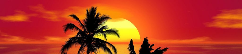 Tropical-sunset-with-palm-tree-silhouette