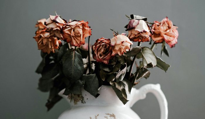 White-pot-jug-filled-with-dying-orange-roses